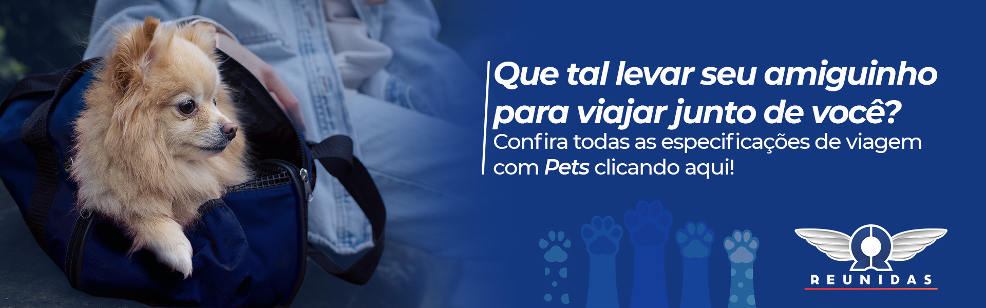 Coletivos - Pet - Março 2025